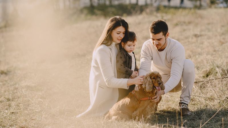 Eltern knien mit ihrem Kind und einem Hund in einer sonnigen Wiese